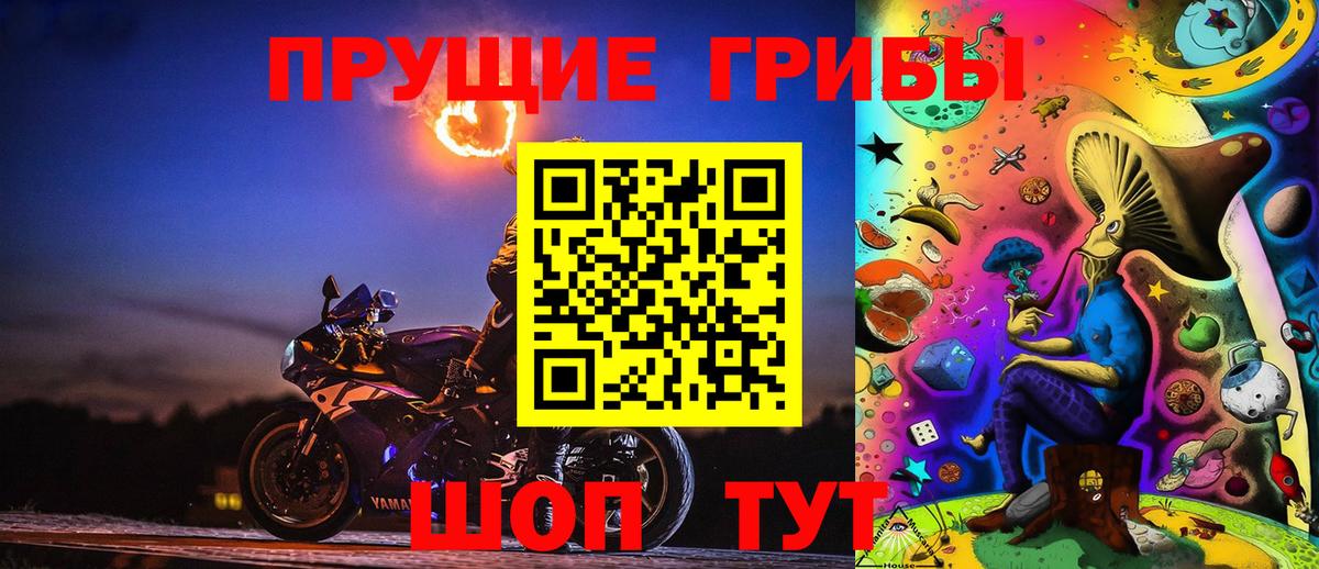 что такое наркотик  Псилоцибиновые грибы прущие грибы  Вход с VPN  Бор 