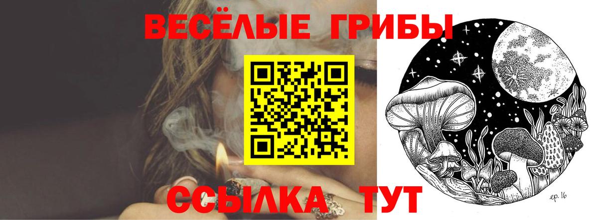 Псилоцибиновые грибы Cubensis Бор